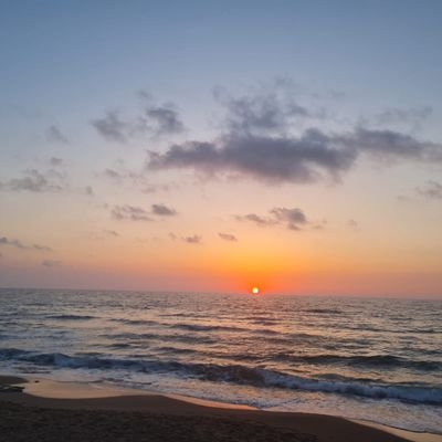 HaimcohenHaim's profile picture. 