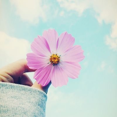 kimdeulbi2's profile picture. 스텔라이브 모두를 사랑해❤️