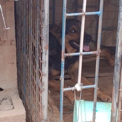 memeboy7100's profile picture. 