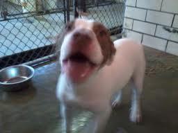 vegastar1999's profile picture. 