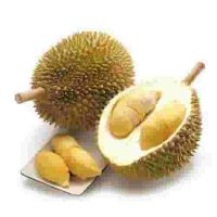 Freedurian (@amiettrea) 's Twitter Profile