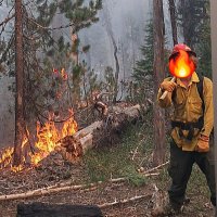 BLackBear33🌲 (@0fedbear2) 's Twitter Profile