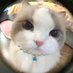 𝒴 (@jinseimuzukasi7) Twitter profile photo 𝒴 (@jinseimuzukasi7) Twitter profile photo