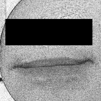 2hrnapNSFW's profile picture. no dms