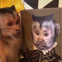 NBoca (@nboca11) 's Twitter Profile