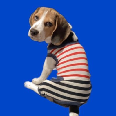 sirikwan_mo's profile picture. 