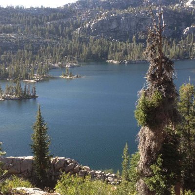 Jellin_Krypto's profile picture. eriksag#2618