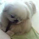 Nicholas Wan - @nicwan420 - Twitter