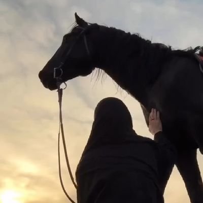 Merna__Hossam's profile picture. FCI || TU