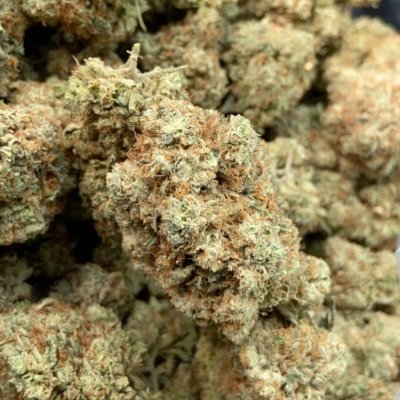 Spankbank951's profile picture. 