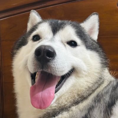kathjpa's profile picture. 