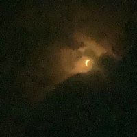 𝕐 (@nomad421) 's Twitter Profile