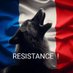 Milena (@maryleila21) Twitter profile photo Milena (@maryleila21) Twitter profile photo