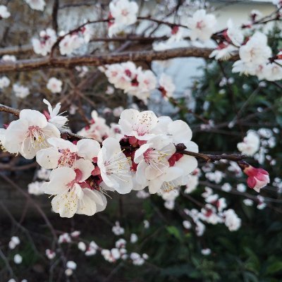 ep89870799's profile picture. Νο need to.