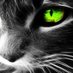 Oko Sokolovo (@okosokolov85460) Twitter profile photo Oko Sokolovo (@okosokolov85460) Twitter profile photo