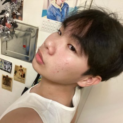 dog445544's profile picture. stay