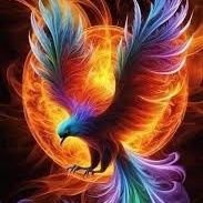 FreeBird_Light's profile picture. Rising from the ashes each time and flying fearlessly and freely in the sky.