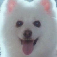 계은혜 (@0cesama) 's Twitter Profile