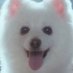 계은혜 (@0cesama) Twitter profile photo 계은혜 (@0cesama) Twitter profile photo