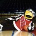 USI BASKETBALL #1 (@screagshof) Twitter profile photo USI BASKETBALL #1 (@screagshof) Twitter profile photo