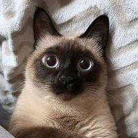 Rainy ⛈️ (@fonnapassorn) 's Twitter Profile