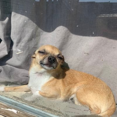 BKasburg's profile picture.