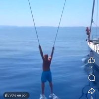 D (@industryideator) 's Twitter Profile