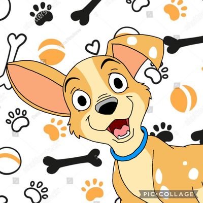 XSparkPuppy101X's profile picture. Hiya! my name is Spark, I'm a mix of a Corgi, Dalmatian, and a Chihuahua. I'm the youngest puppy, in my litter.