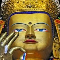 Mettā (@letsgetmetta) 's Twitter Profile