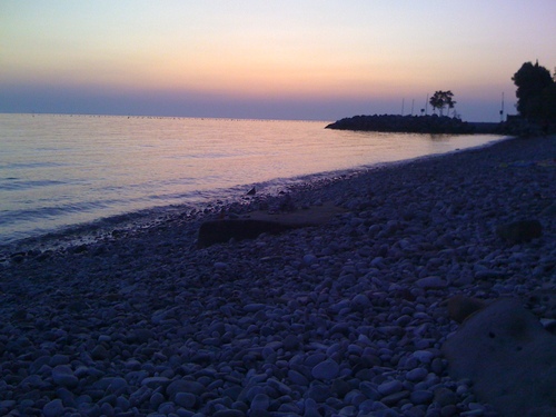 nabbul's profile picture. A better world is possible!