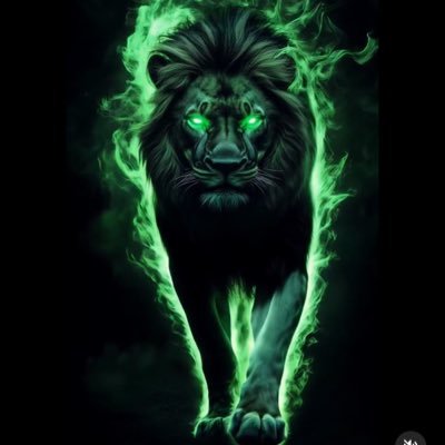 Righty999's profile picture. Rare Species Conservationist.