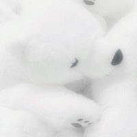 mai🤍 (@white_luv_rs) 's Twitter Profile