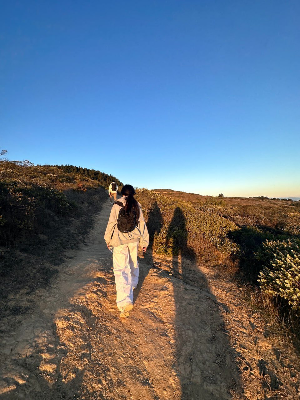 SmewsheaeZpIJt's profile picture. 