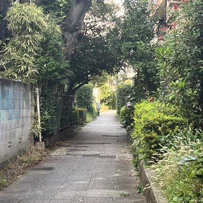 azs___xx's profile picture. 令和のゴミギタリスト