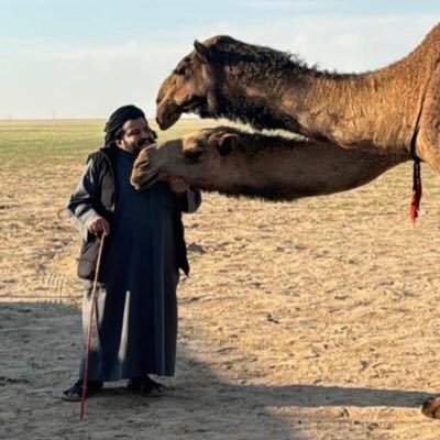 مصمم لعالم الابل 🎬 عاشق لعالم الابل🐪 #بنات_كرعان 🐪 #ندر_الصفر🐪#الجاثيات🐪 #بنات_شرهان🐪 #بنات_خويران🐪