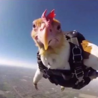 icanizt's profile picture. die4fun