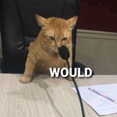 vekilkayra's profile picture. 