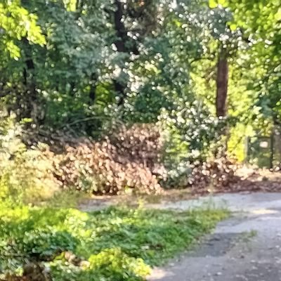 milan_rank1989's profile picture. 