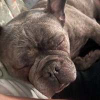 Lou Yates (@louiseayates) 's Twitter Profile Photo Lou Yates (@louiseayates) 's Twitter Profile Photo