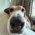 Ellie Chesse (@charlottecoppo2) Twitter profile photo Ellie Chesse (@charlottecoppo2) Twitter profile photo