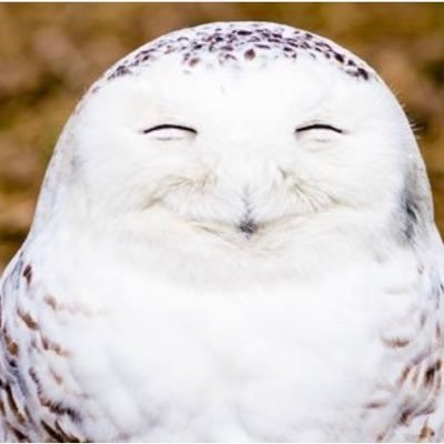 AngelAu13729802's profile picture. 