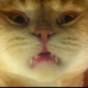 Dan Davis - @danie1d - Twitter