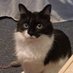 Karen McCray (@karenmc47088902) Twitter profile photo Karen McCray (@karenmc47088902) Twitter profile photo