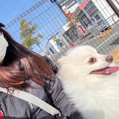 scsc_m2's profile picture. 2020.10〜 🐸🥫🦌📕 / 名古屋 / トリッカー / 125cc / わんちゃんいます🐾