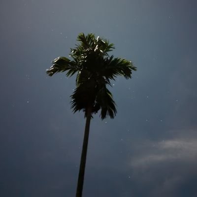 bviranga's profile picture. https://t.co/wcKPMYAes3