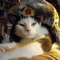ZachErs (@zach_ers) 's Twitter Profile Photo ZachErs (@zach_ers) 's Twitter Profile Photo