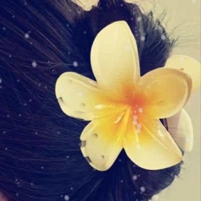 herenoui27229's profile picture. Le mois de l'année où les politiciens disent le moins de conneries, c'est le mois de février, car il n'y a que 28 jours
Soutien @JphTanguy,lui ose la franchise