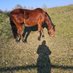 Petra Stettnisch die 2. (@horststehtisch) Twitter profile photo Petra Stettnisch die 2. (@horststehtisch) Twitter profile photo