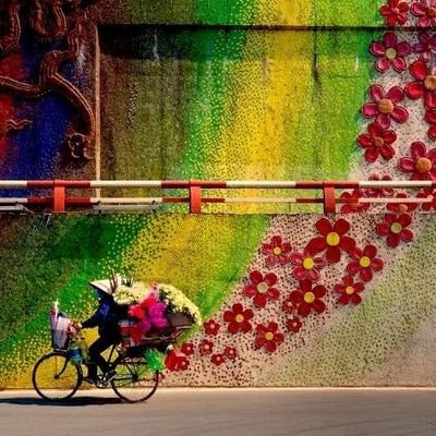 ConsueloMa23213's profile picture. 