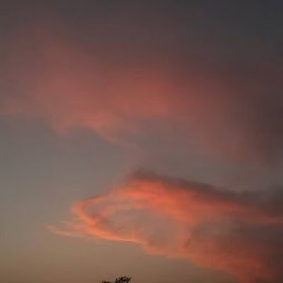 _Otherthanthat1's profile picture. 